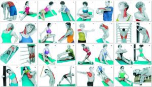 34 Pictures To See Which Muscle Youre Stretching